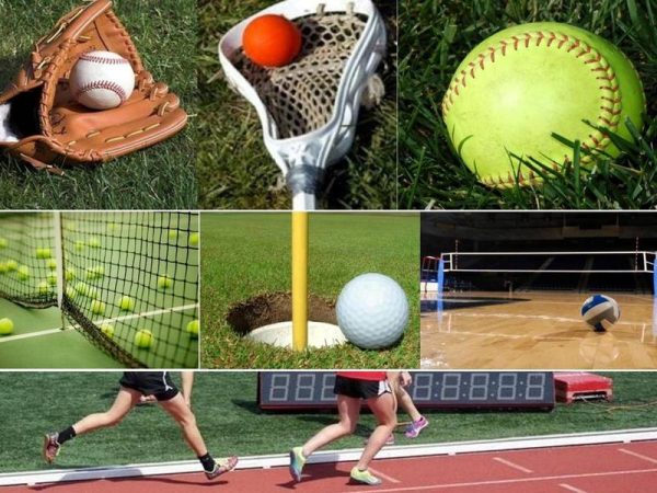 Spring Sports Wrap Up